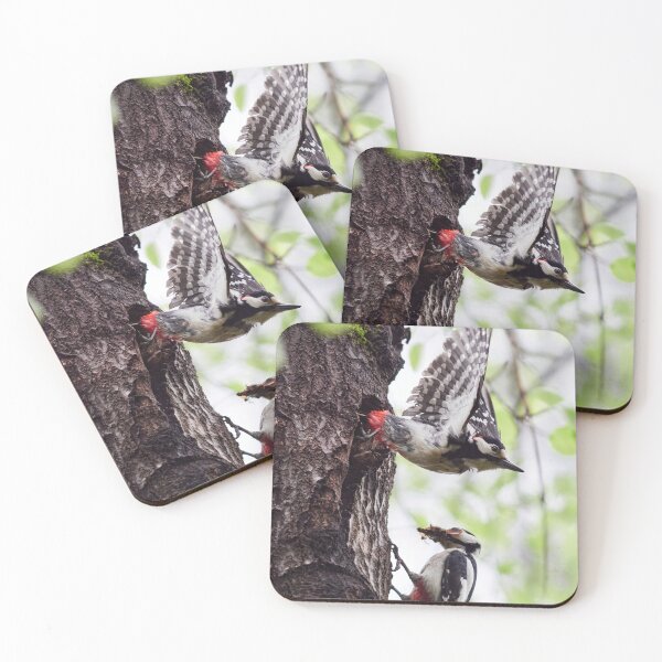 Item preview, Changing turns. Great spotted woodpecker designed and sold by Jouko Lehto Photography.