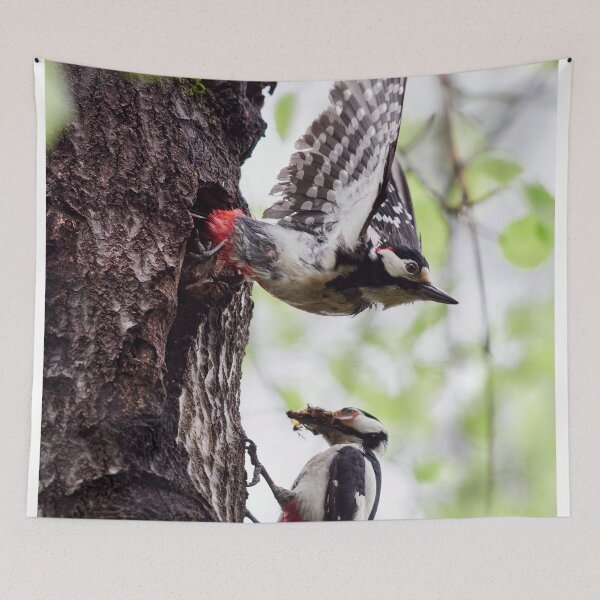 Item preview, Changing turns. Great spotted woodpecker designed and sold by Jouko Lehto Photography.