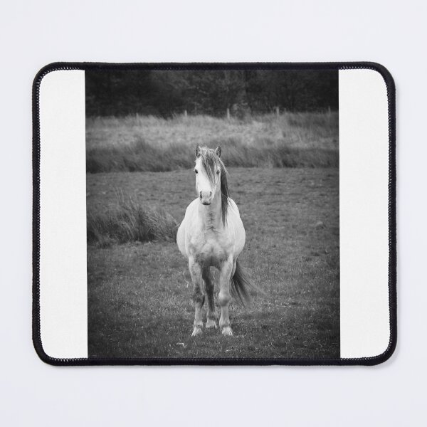Item preview, Welsh Mountain Stallion designed and sold by Tina Townhill.