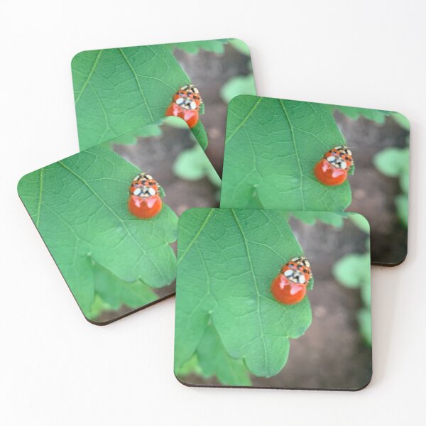 Item preview, Couple ladybug designed and sold by baksuart.