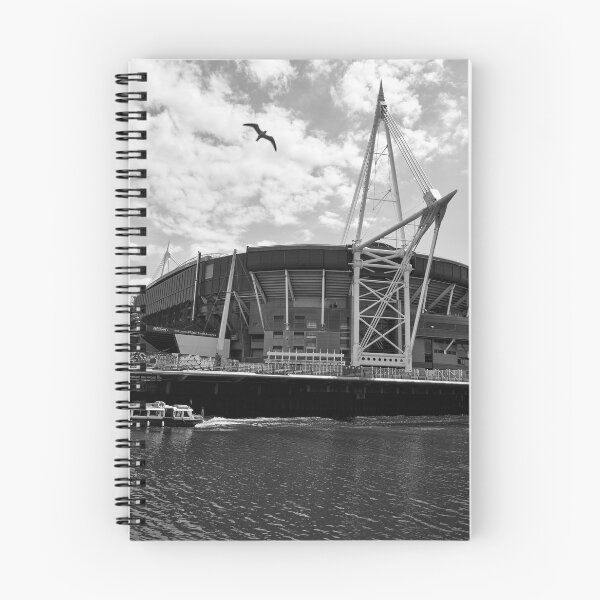 Item preview, principality millennium stadium cardiff wales uk monochrome designed and sold by VnGphoto.
