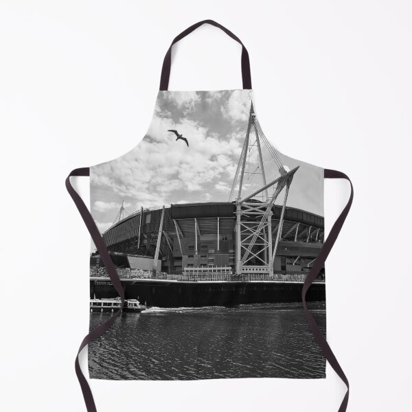 Item preview, principality millennium stadium cardiff wales uk monochrome designed and sold by VnGphoto.