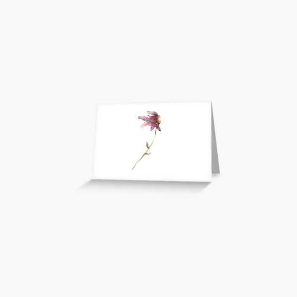 Purple Coneflower No. 3 Greeting Card