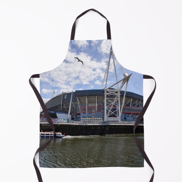 Item preview, The Principality Stadium, Cardiff, Wales, UK designed and sold by VnGphoto.
