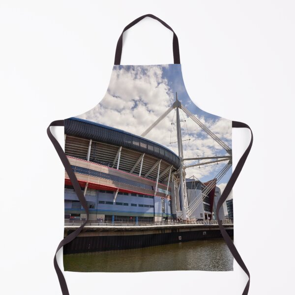 Item preview, The Principality Stadium, Cardiff, Wales, UK designed and sold by VnGphoto.