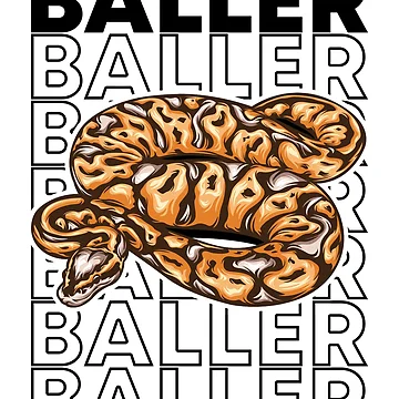 Artwork thumbnail, Ball Python 80's Style Royal Python Snake Owner by JRRTs