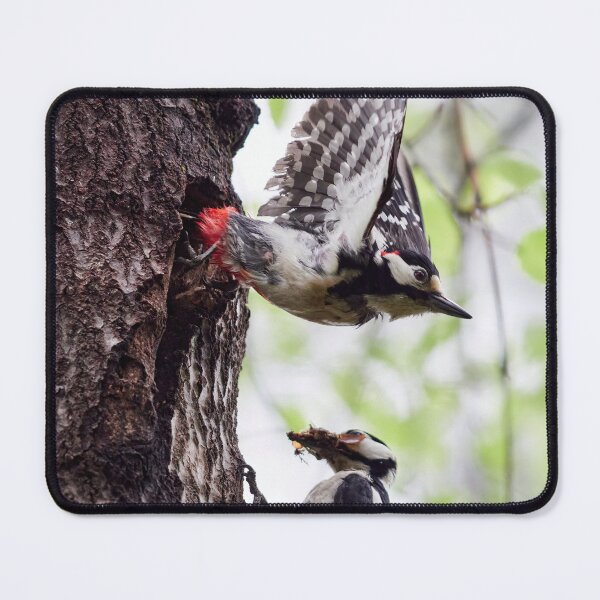 Item preview, Changing turns. Great spotted woodpecker designed and sold by Jouko Lehto Photography.
