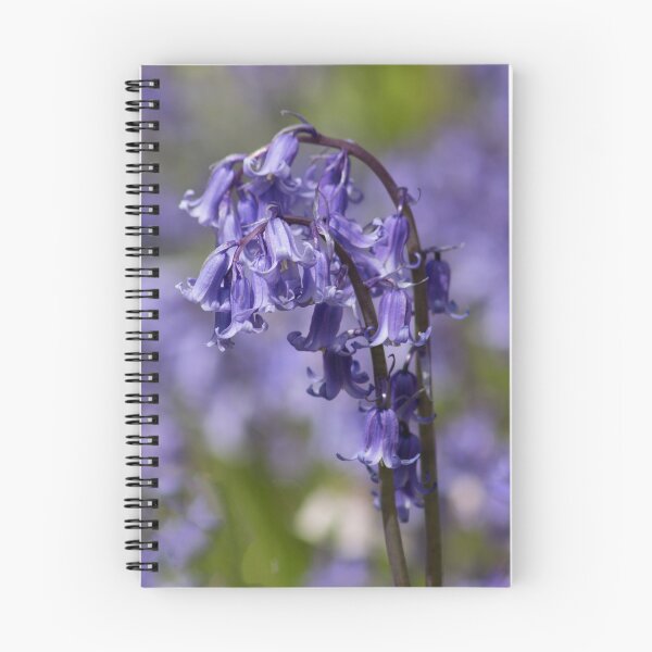 Item preview, Among the Bluebells designed and sold by Lynn Bolt.