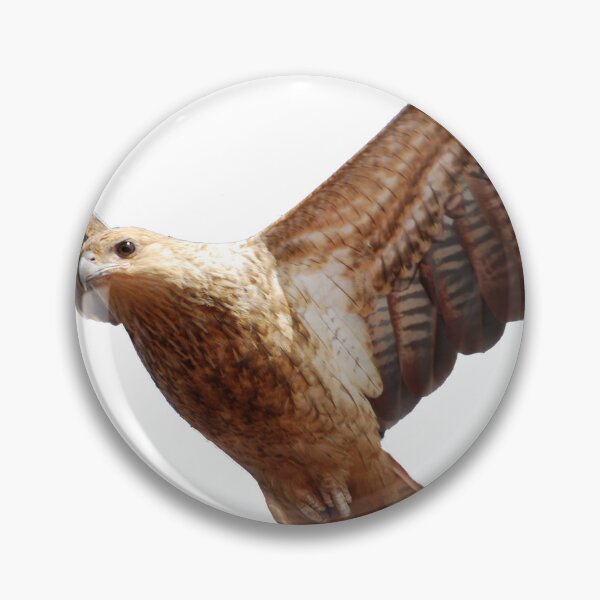 Item preview, the hawk designed and sold by treborbob.
