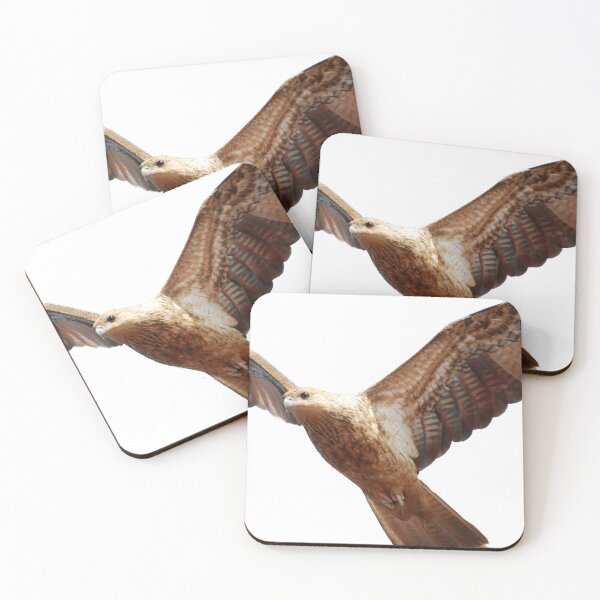 Item preview, the hawk designed and sold by treborbob.