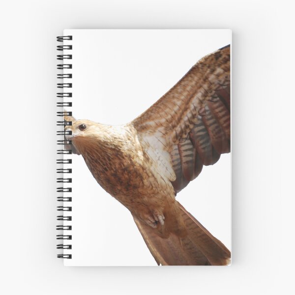 Item preview, the hawk designed and sold by treborbob.