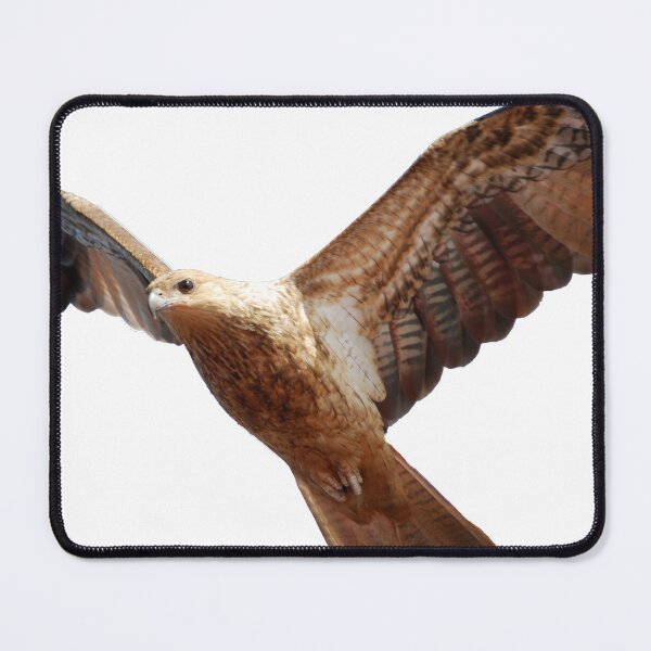 Item preview, the hawk designed and sold by treborbob.