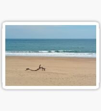 Maritime Minimalism Sticker