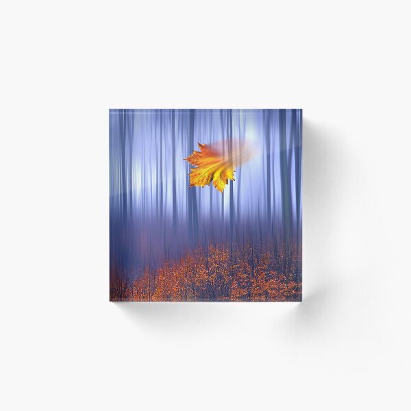 1503 Falling Leafe Acrylic Block