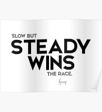 slow but steady wins the race - aesop Poster
