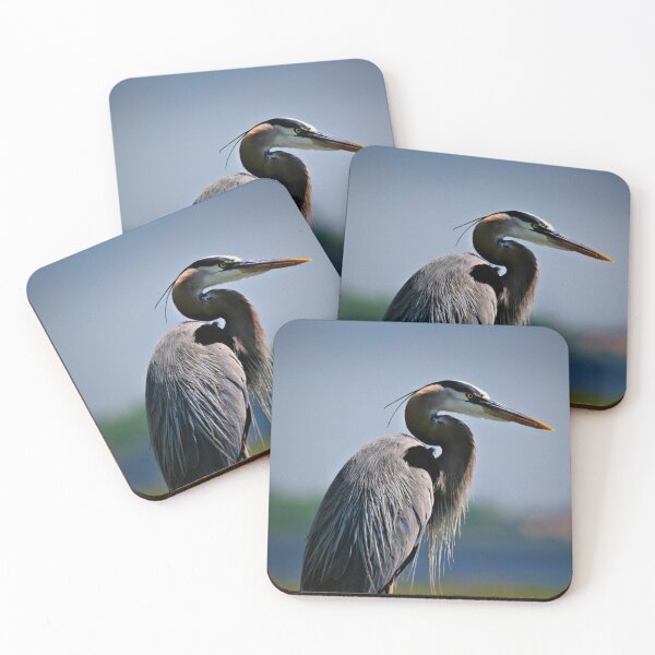 Artikelvorschau, Great Blue Heron ~ Schöner Küstenvogel entworfen und verkauft von bayberrygal.