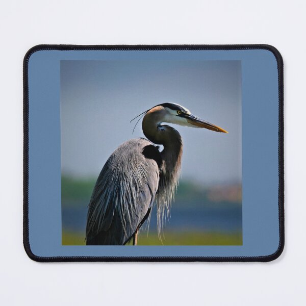 Item preview, Great Blue Heron ~ Lovely Shore Bird designed and sold by bayberrygal.