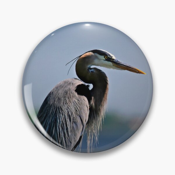 Item preview, Great Blue Heron ~ Lovely Shore Bird designed and sold by bayberrygal.