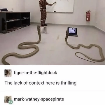 Artwork thumbnail, python programming course by XNIO
