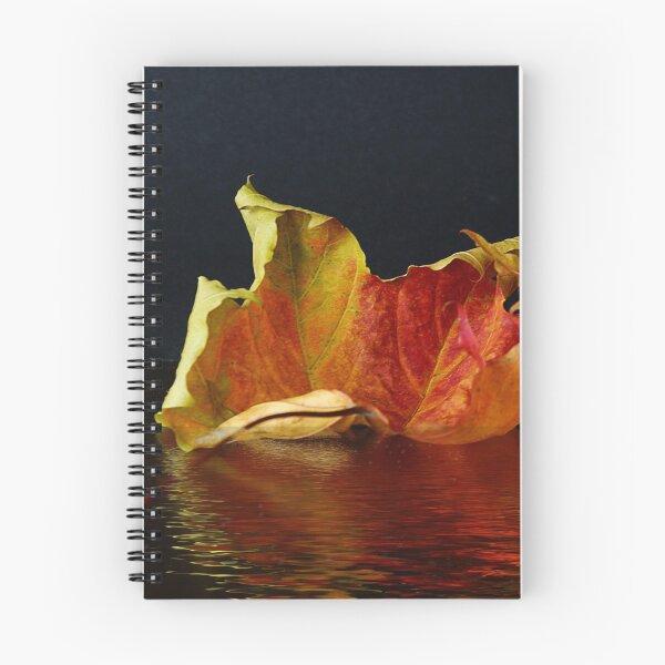 Item preview, Autumn Leaf reflected designed and sold by Gilberte.