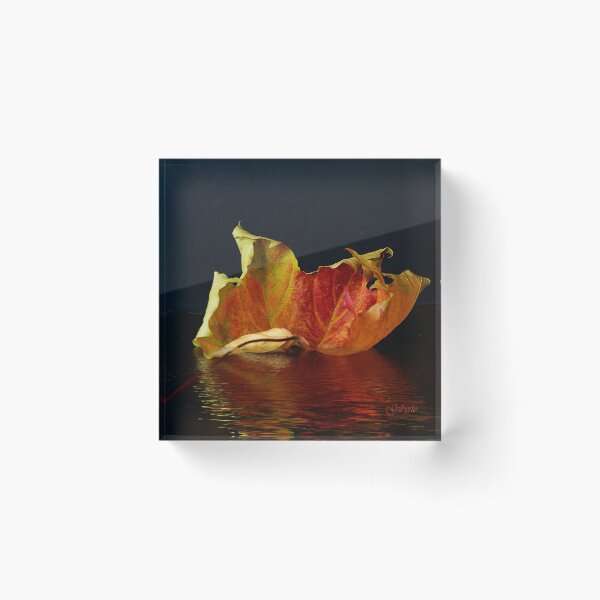 Item preview, Autumn Leaf reflected designed and sold by Gilberte.