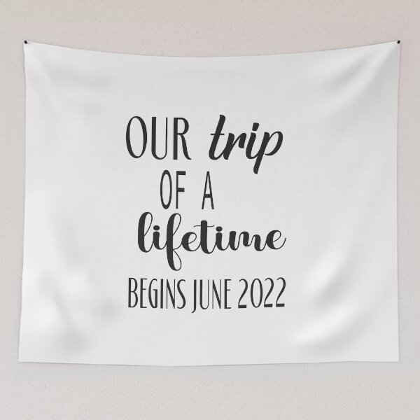 Item preview, Trip of a Lifetime | | Digital Pregnancy Announcement Baby Travel Theme | Social Media Pregnancy Announcement Idea | facebook instagram designed and sold by ASSOUKI9.