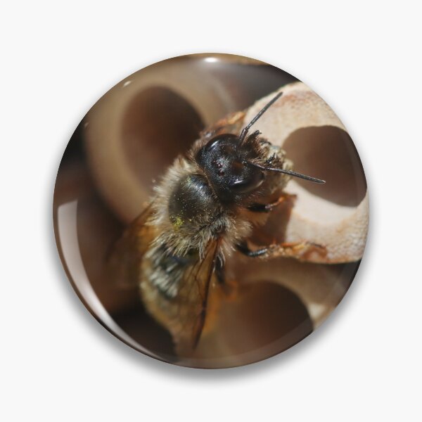 Item preview, Mason bee carrying mud to her nest designed and sold by GreyFeatherPhot.