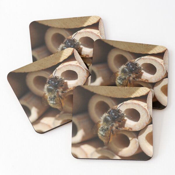 Item preview, Mason bee carrying mud to her nest designed and sold by GreyFeatherPhot.