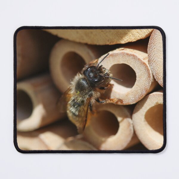 Item preview, Mason bee carrying mud to her nest designed and sold by GreyFeatherPhot.