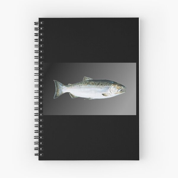 Item preview, Chum Salmon designed and sold by CryptoEnths.