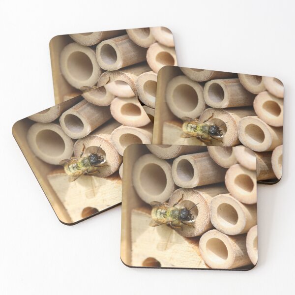 Item preview, Red mason bee dusted with pollen designed and sold by GreyFeatherPhot.