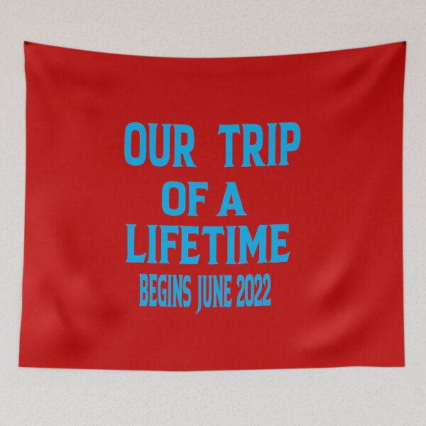 Item preview,  Trip of a Lifetime | | Digital Pregnancy Announcement Baby Travel Theme | Social Media Pregnancy Announcement Idea | facebook instagram designed and sold by ASSOUKI9.