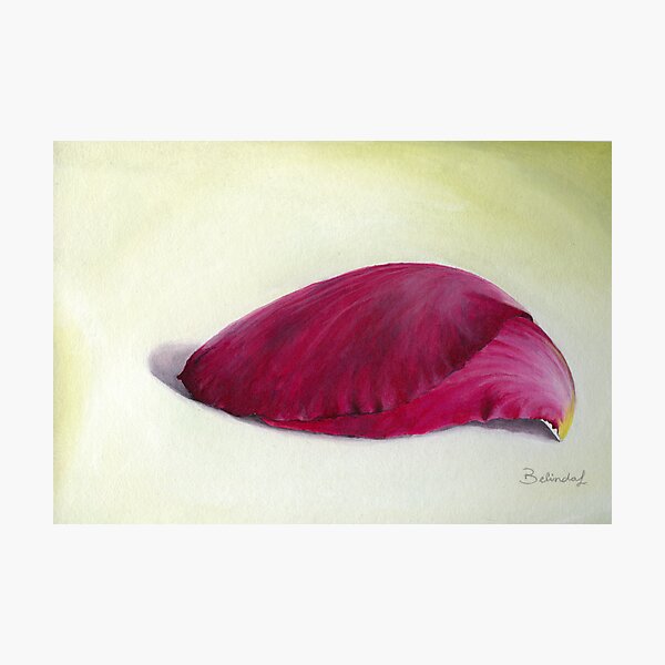 Petal Beauty Photographic Print