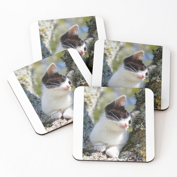 Item preview, Snowshoe cat, cat lover designed and sold by Designista436.
