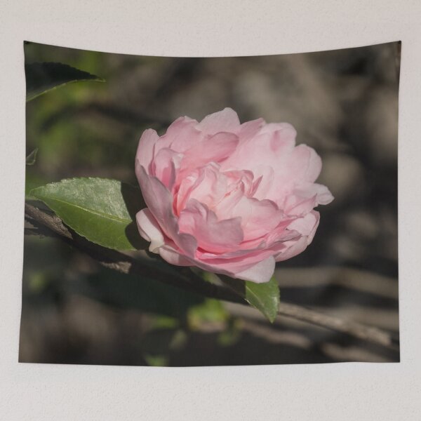 Item preview, January Jewel - Solo Camellia in Soft Baby Pink  designed and sold by Georgia Mizuleva.