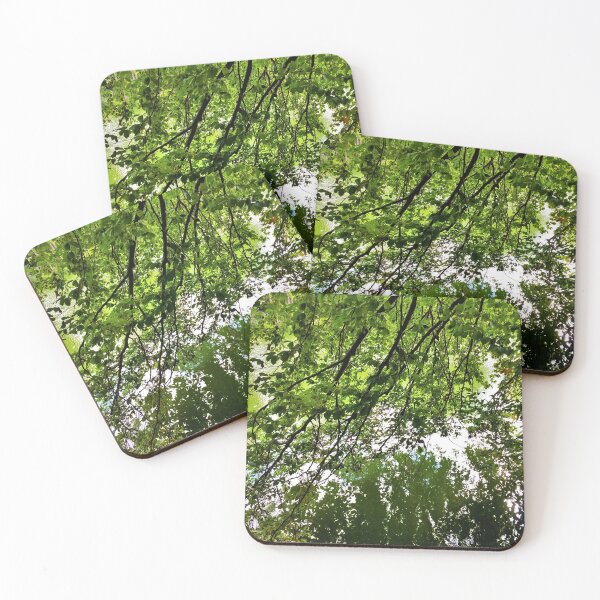Item preview, #242 |☼| Tree Water Reflections (Elsham Hall, Gardens & Country Park) designed and sold by Naean H.F. (Nez Man).