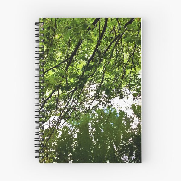 Item preview, #242 |☼| Tree Water Reflections (Elsham Hall, Gardens & Country Park) designed and sold by Naean H.F. (Nez Man).