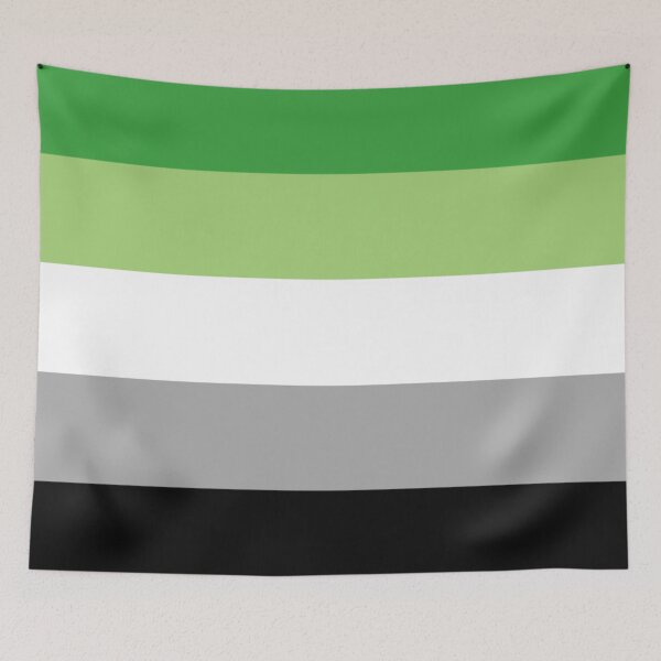 Item preview, Aromantic Pride Flag designed and sold by kiippers.