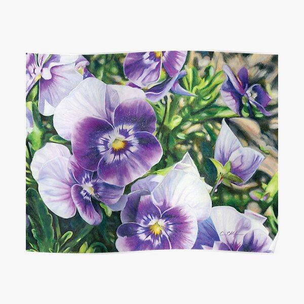 Purple and White Pansies Poster
