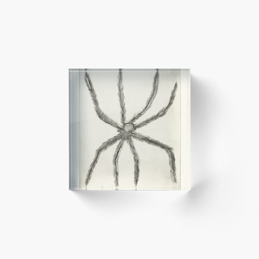 Louise Bourgeois, Hairy Spider