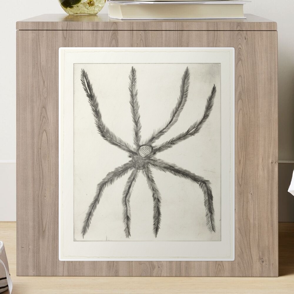 Louise Bourgeois, Hairy Spider