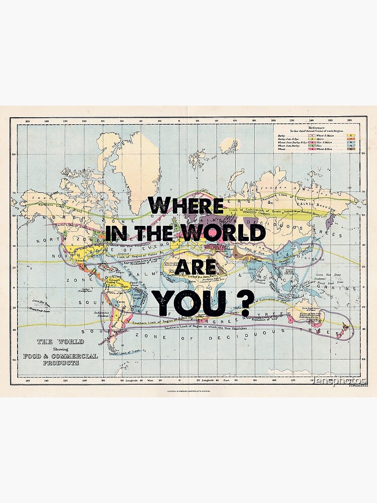 Discover Where in the World are YOU? Premium Matte Vertical Poster