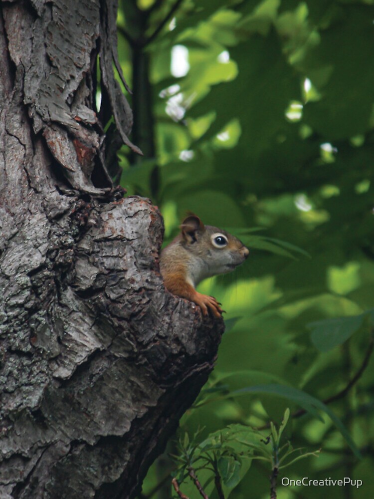 Thumbnail 4 of 4, iPhone Case, Red Squirrel designed and sold by OneCreativePup.