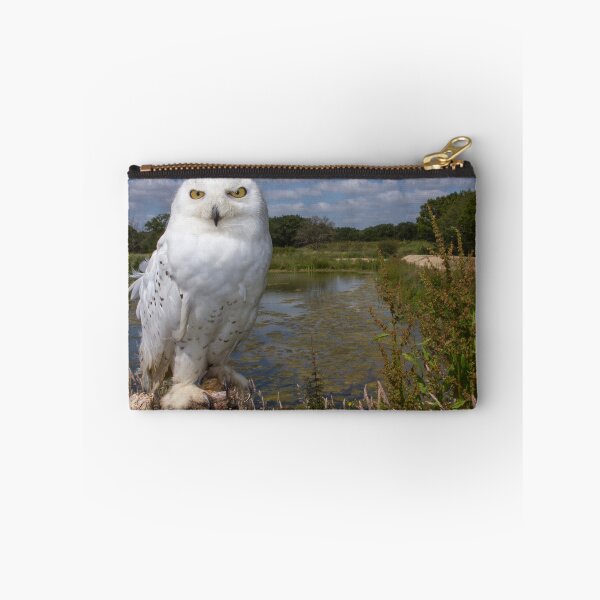 Item preview, Owl with a view designed and sold by Anthony Brewer.