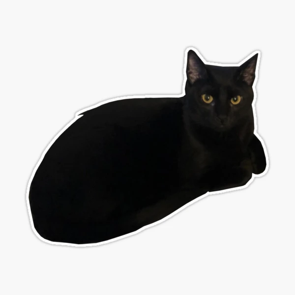 Black Loaf Cat Sticker – moon sheep co.