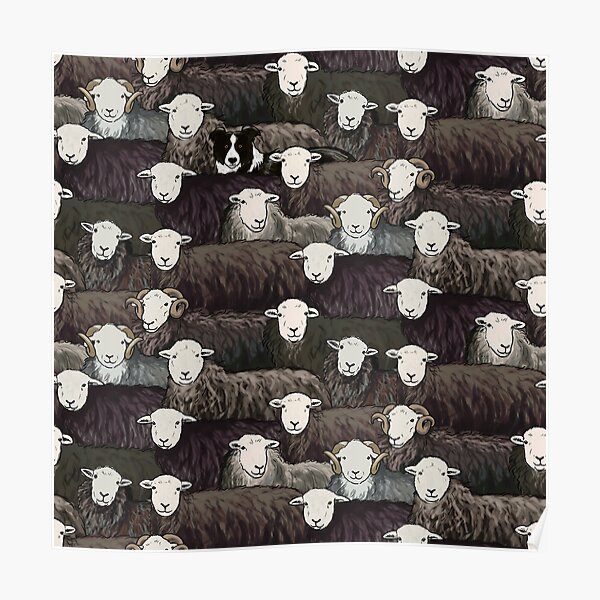 Herdwicks Poster