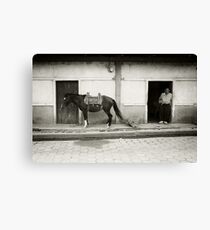 One Horse Town Canvas Print