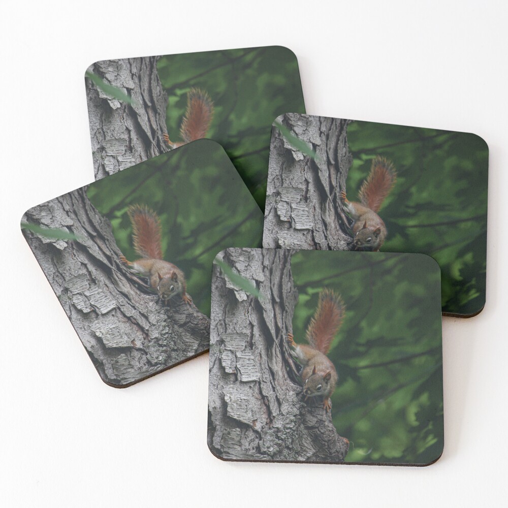 Item preview, Coasters (Set of 4) designed and sold by OneCreativePup.
