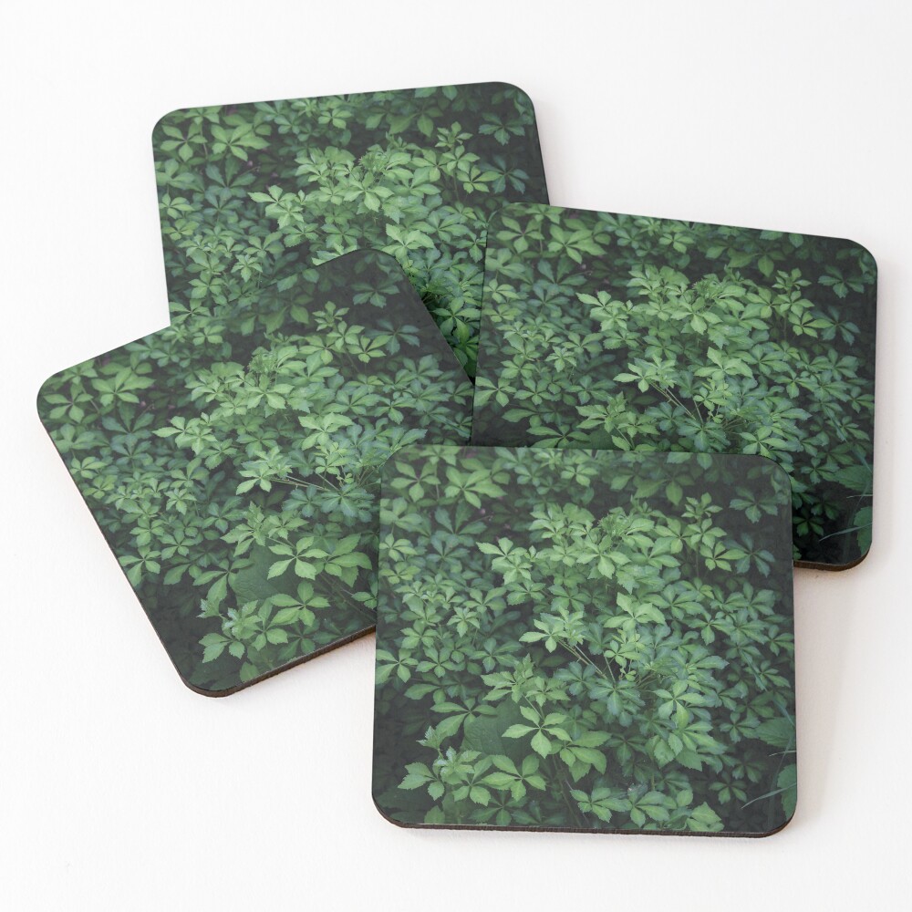 Item preview, Coasters (Set of 4) designed and sold by OneCreativePup.