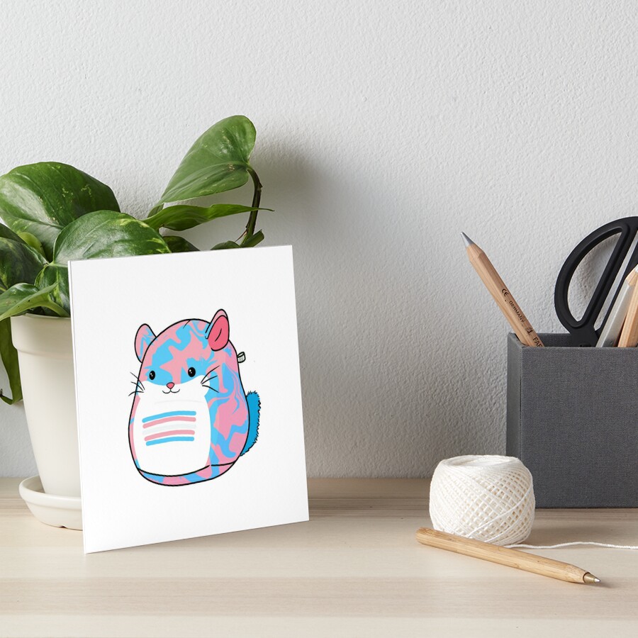 chinchilla squishmallow